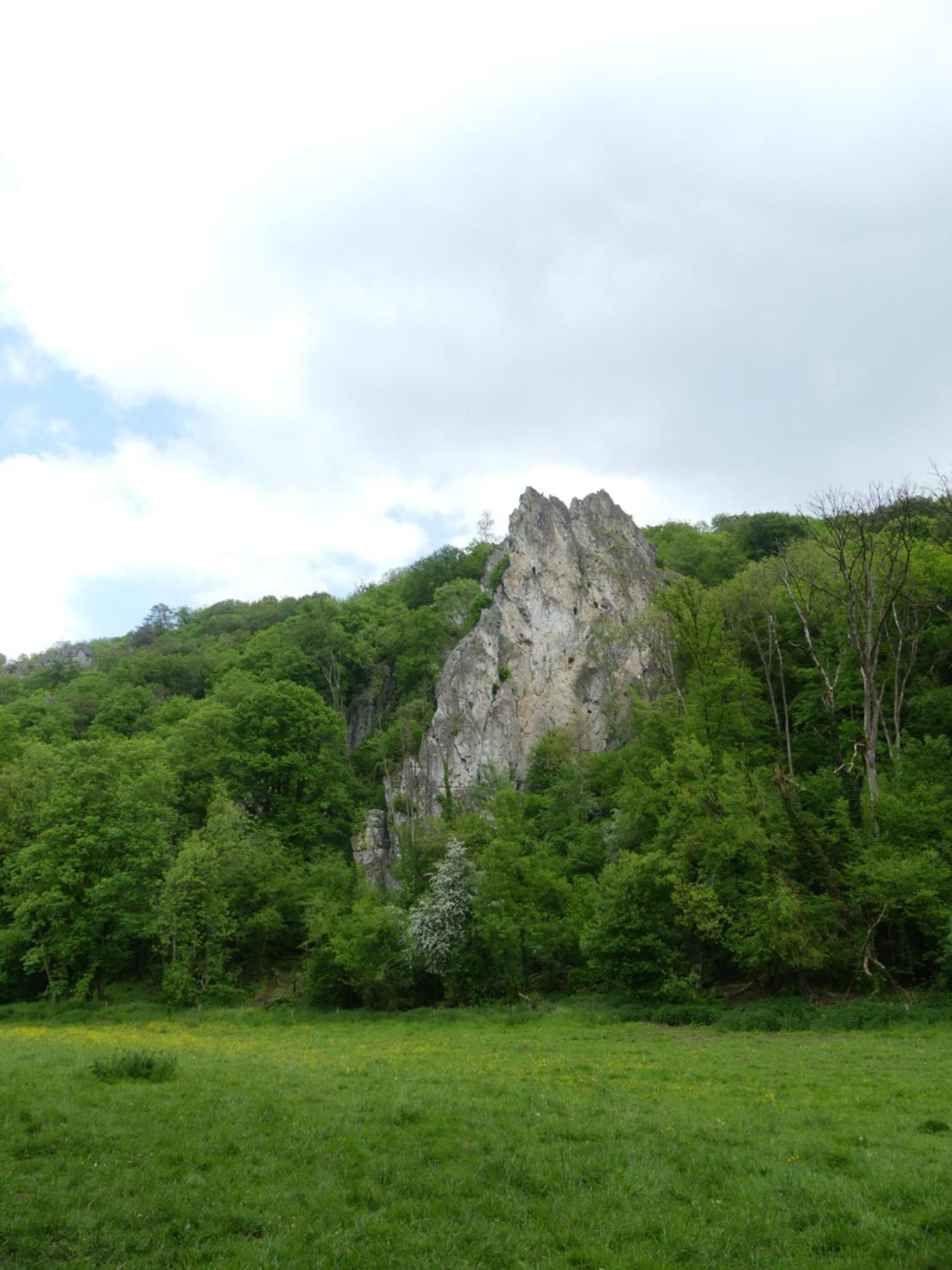 Au Bois Charmant Waulsort Exterior foto